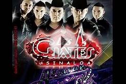 Los Cuates de Sinaloa LIVE @ Alacran Nightclub Ama